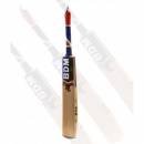 BDM Force 20 English Willow Cricket Bat